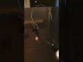 Conheça a Família de Microfones MM-113 da Soundvoice!