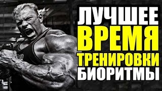 Лучшее Время ДЛЯ ТРЕНИРОВКИ! Используем Свои Биоритмы.