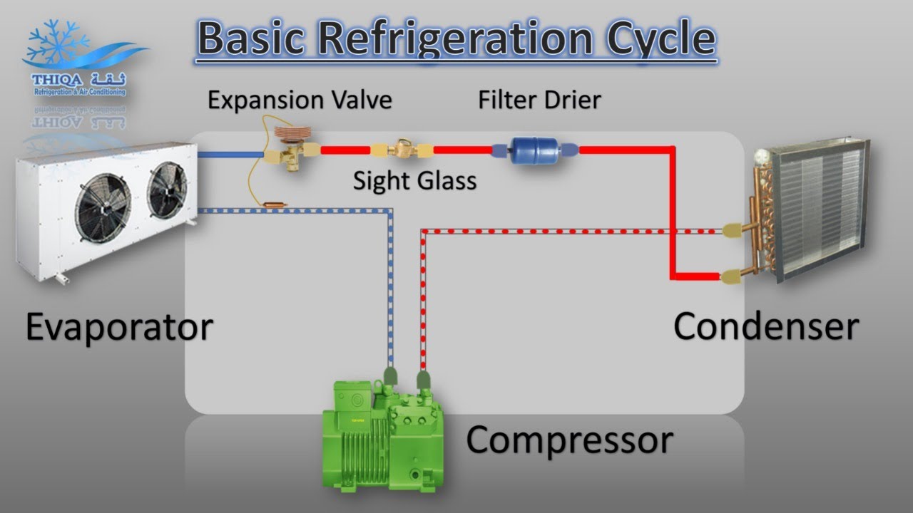 Animated Basic Refrigeration System thiqarefrigeration refrigeration hvac YouTube
