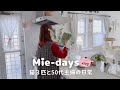 271.【猫3匹と50代主婦の春の暮らし🏠】夫のガンダム部屋/Francfrancのラグ♡朝昼晩ごはん