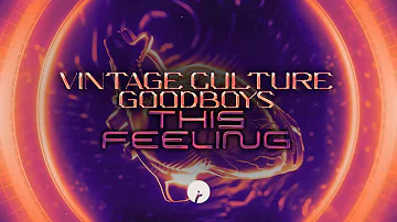 Vintage Culture & Goodboys - This Feeling (Lyric Video)