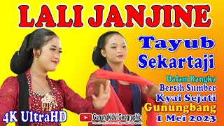 Tayub Sekartaji || Lali Janjine || 4K UltrsHD || @gunungkidulgeographic