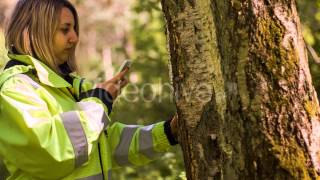 Footage - Forest Protection