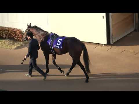 【武豊】【有馬記念2023】 全頭パドック＋ドウデュースとタイトルホルダー多め 現地映像