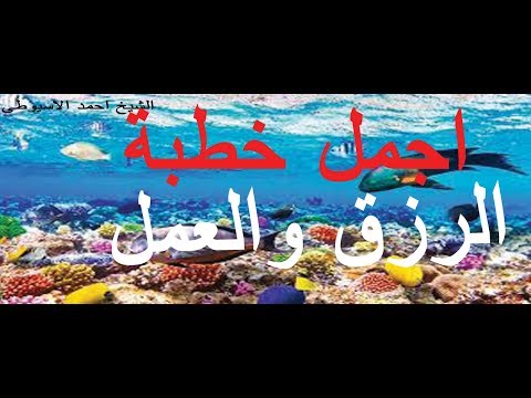 اجمل خطبة عن العمل والرزق للشيخ احمد الاسيوطى