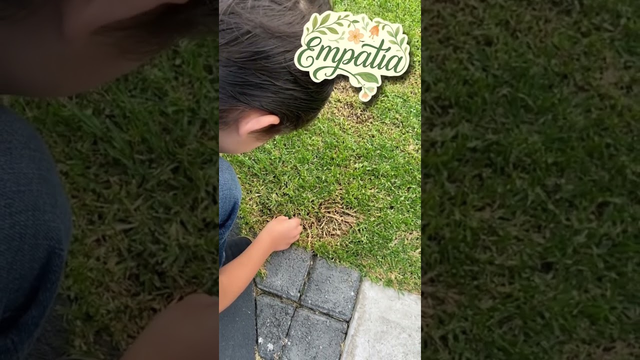 Empatía 🦊 APRENDER A SER PADRES #aprendiendoaserpapa #serpadre #mamá #padre #papá