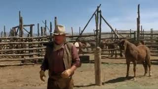 John Wayne, Cowboys (1972)