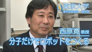 西原寛 化学専攻 教授 『分子だけでロボットをつくる－分子機能素子の創生－』