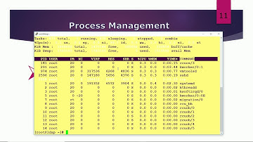 Practice Lab Session (Process Management in Linux) - 2
