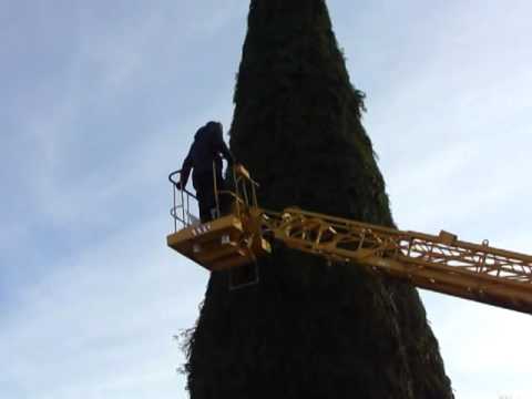 Устанавливается главная елка в Тетюшах