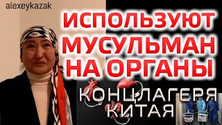 Используют мусульман на органы. Концлагеря Китая для уйгуров и казахов. Гульбахар Джалилова