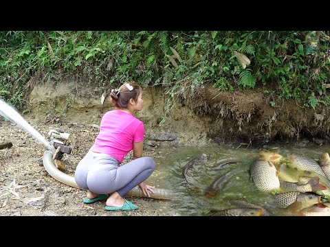 Fishing Girl | Fishing Techniques, Trawl Fishing, Skillful Girl Lifts Fishing Net, Catches Many Fish