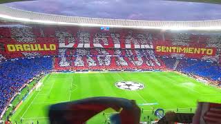 himno del atleti con tifo, cuartos de champions contra el city 13-4-2022