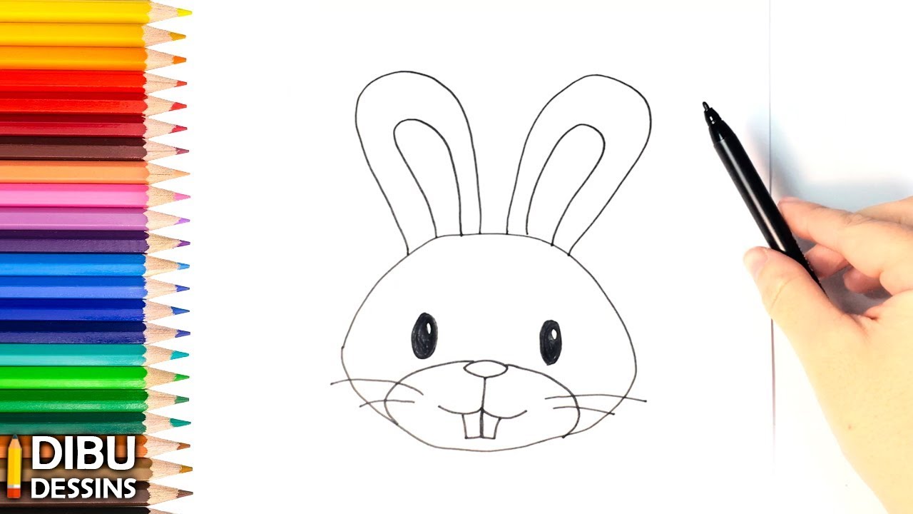 Comment Dessiner Un Lapin Etape Par Etape Beaux Dessins Youtube