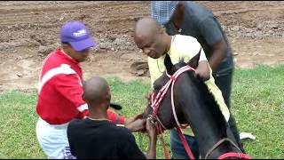 JAMAICA RACING: Phenomenal Power Comes Late To Snatch Victory In Sat, June 6, 2026, 2nd