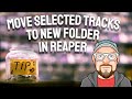Move Selected Tracks to New Folder in REAPER