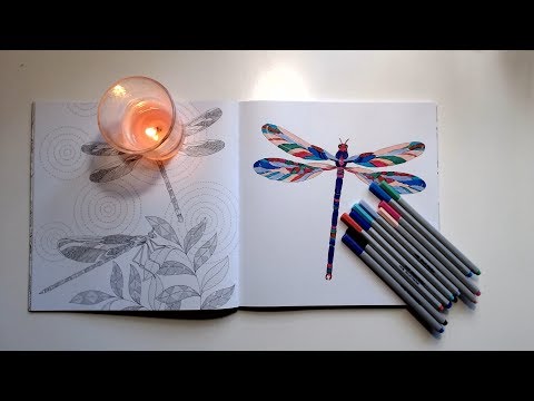 dragonfly-page---animal-kingdom-by-millie-marotta