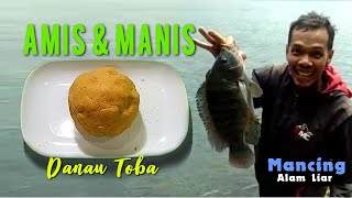 Resep Umpan Ikan Nila Danau Toba screenshot 3