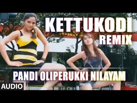 Kettukodi (Remix) Full Audio Song | Pandi Oli Perukki Nilayam | Sabarish, Sunaina