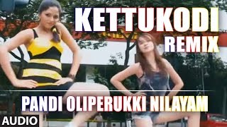 Kettukodi (Remix) Full Audio Song | Pandi Oli Perukki Nilayam | Sabarish, Sunaina