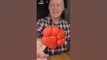 Get Your Paws On Zootopia