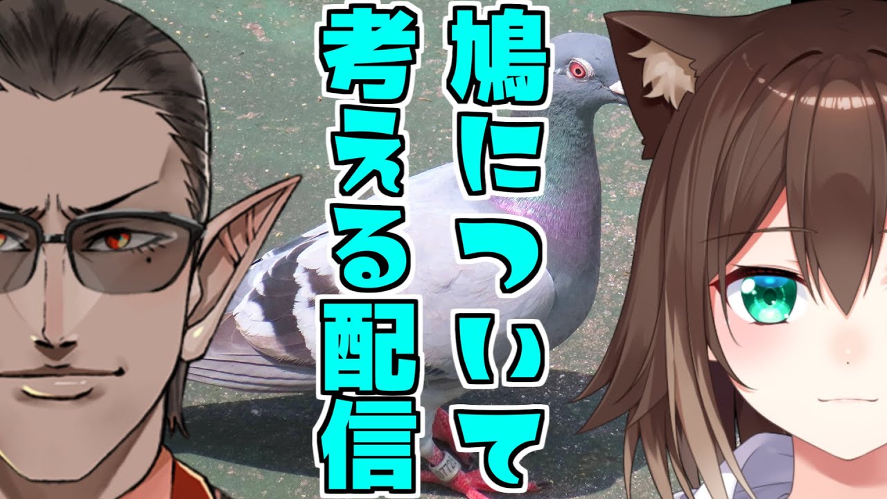 鳩について考える配信