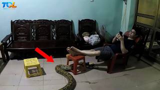 Famous 50 Incredible Moments Caught On CCTV Camera | Best of 2026 #7 Net Worth