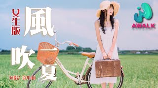 徐心愉 - 風吹一夏（女聲版）（原唱：DP龍豬 / Swei水 / Rays陳袁）【動態歌詞 | Pinyin Lyrics】