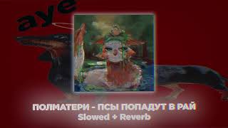 Полматери - Псы Попадут В Рай ( Slowed + Reverb )