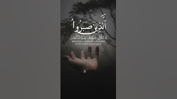 الذين صبروا وعلى ربهم يتوكلون | سورة النحل | القارئ عبدالرحمن مسعد