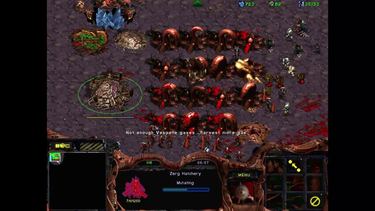 StarCraft 星海  2026 01 16  異形1V7隨機 不封門  流程示範