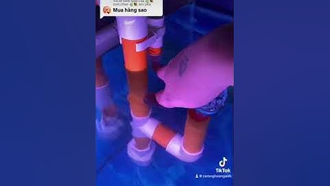 Hd cách dùng lọc overflow tách phân ống sanking cho hồ cá.Đt-Zalo:03.888888.09