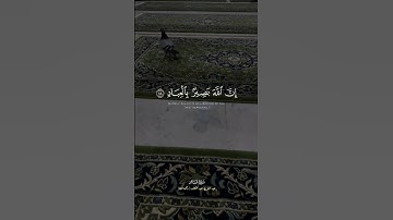 وَأُفَوِّضُ أَمْرِي إِلَى اللَّهِ إِنَّ اللَّهَ بَصِيرٌ بِالْعِبَادِ | سورة غافر | الشيخ عبد الباسط
