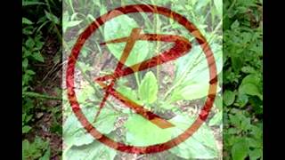 Talking Herbs Roundtable Part 2