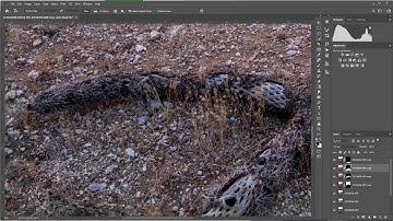 Focus Stacking and Exposure Blending