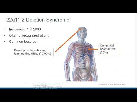 Video: Frontal Dysconnectivity I 22q11.2 Deletionssyndrom: En Atlas-baseret Funktionel Tilslutningsanalyse