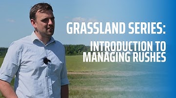 Introduction to Managing Rushes