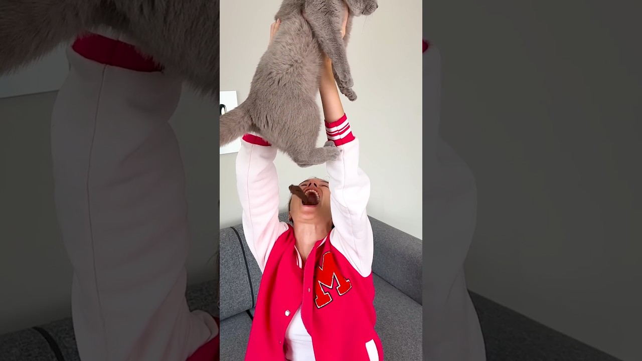 When the owner made the cat poop in the toilet 