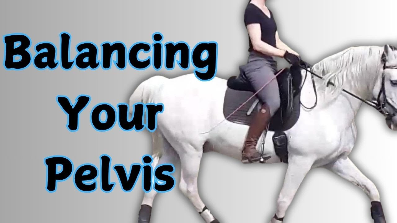 How to Find Your Seatbones & Align Your Pelvis for Better Riding Position