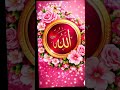 Tere duao🙏Ya Allah Tera buhut shukar hi ❤️💝#Short#islamic#viral