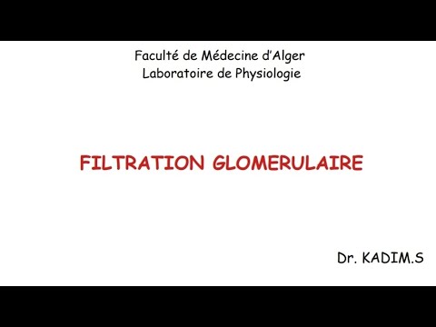 UEI 03 : Physiologie urinaire : La filtration glomérulaire.
