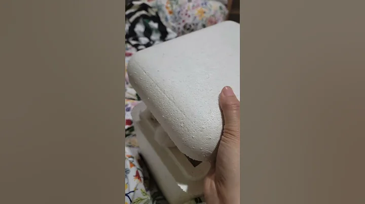 Watch the video about Cute blue lynx bicolor ragdoll cat #cat #cute #ragdollbreeder #kitten #cutecat