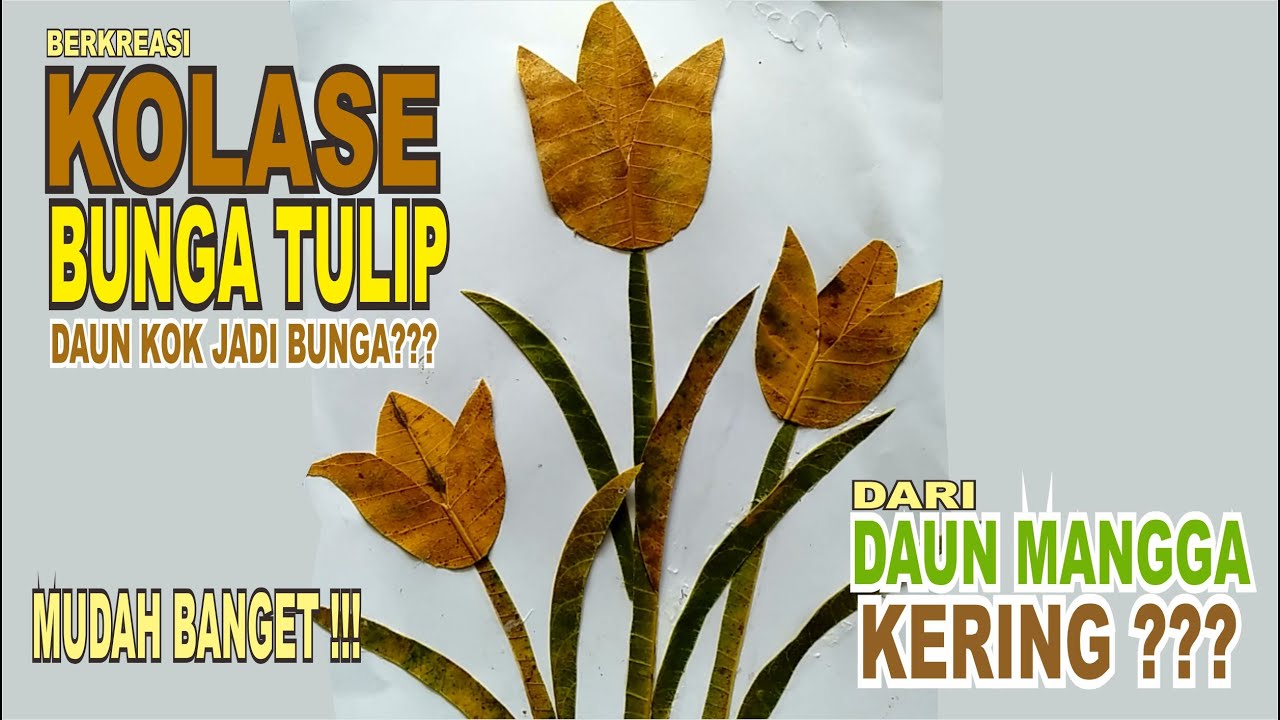  CARA  MEMBUAT  KOLASE BUNGA  TULIP DARI  DAUN  MANGGA KERING  