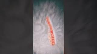 My Brothers Underwear