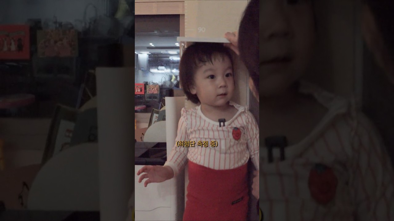 26년 10월 2일 84.6cm