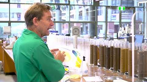 Understanding Your Soil Test