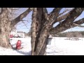 Out and About: Maine Maple Sunday (Dresden, ME)