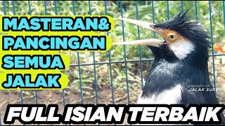 Download lagu Masteran Jalak Suren Isian Mewah Gacor Full Isian Tembakan Variasi Kreasi Baru mantap
