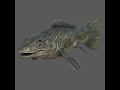 🦖🌊 Discosauriscus – Game-Ready Prehistoric Marine Predator! 🦖🌊