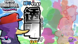 【マルチ・初見さん歓迎】透明縛りでどこまでも！🐦キツツキさんとマリオ2Dでワイワイしませんか？【スーパーマリオブラザーズ ワンダー】